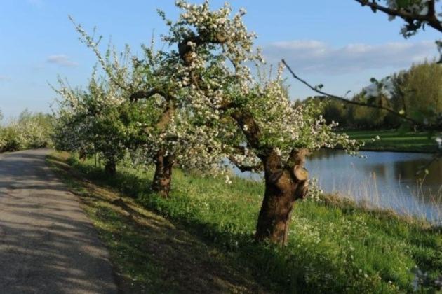 Bed & Breakfast De Neust Beesd Eksteriør bilde